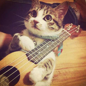 幼男和幼女做爱黄片
